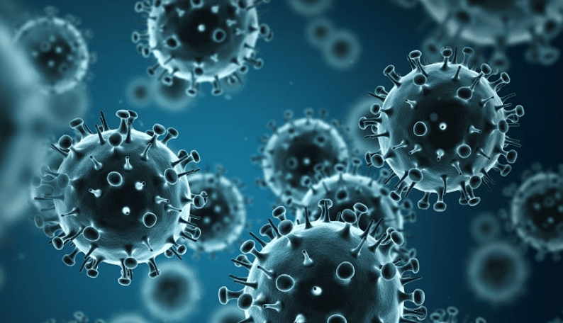 Stay Strong This Cold and Flu Season